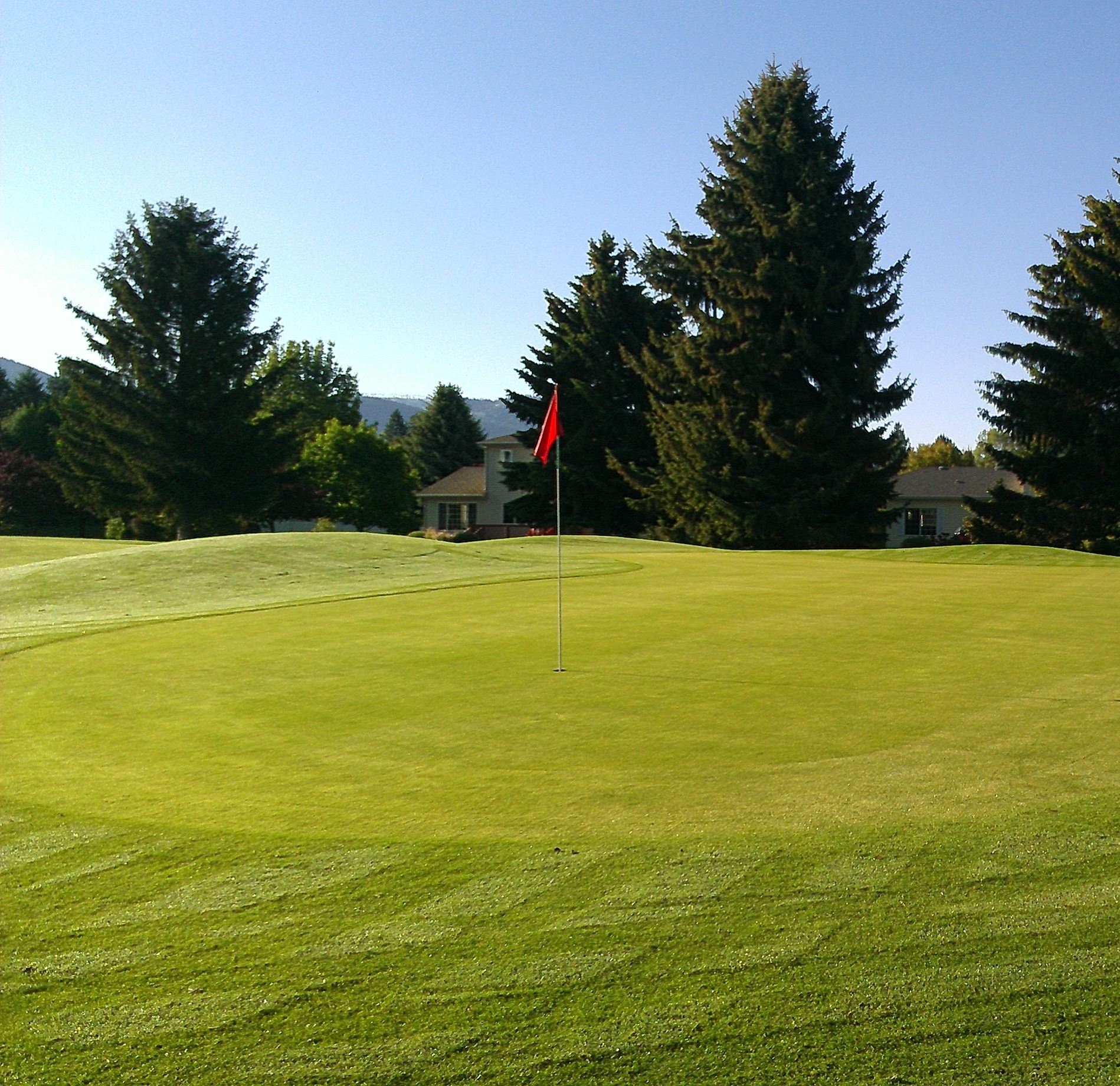 Number 4 Green in the Morning