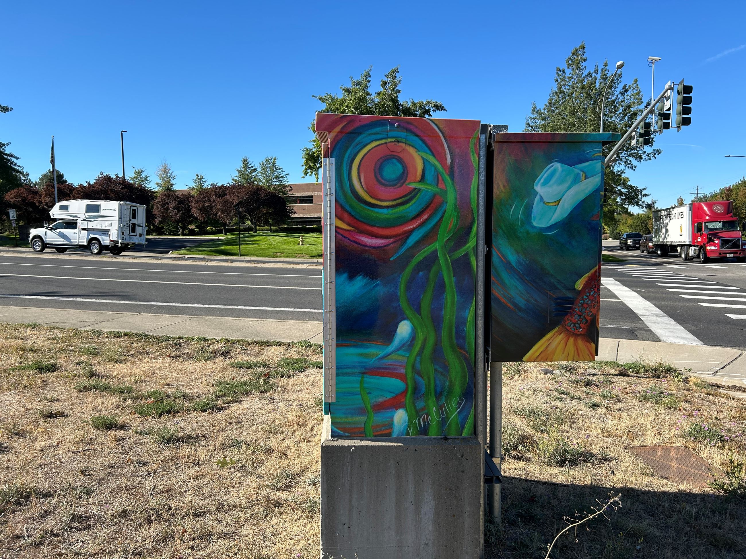 Image of Signal Box Wrap of Person Riding a Salmon