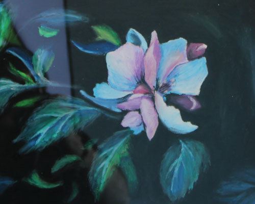 Crystal-Rose---Emi-Lealcardenas